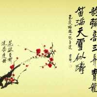 新手也能写的好书法——掌握书法的韵律美
